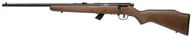 Savage Arms 22 Lr Gaucher