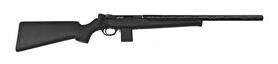 ISSC 22 Lr SPA Std Black Custom Silent