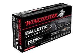 Winchester 22-250 Rem Supreme