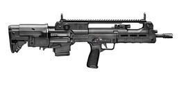 Springfield Armory Hellion 223