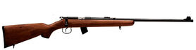 Norinco JW 15A 22 Lr