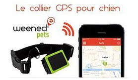 Collier balise gps Weenect Pets