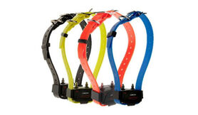 Collier sup. couleur Canicom 5