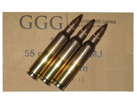 GGG 223 Rem 5,56X45 FMJ